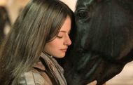Black Beauty (1994) | Image Source: Warner Bros. Pictures